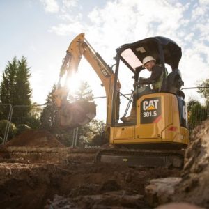 Mini Excavators 301.5